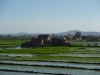 Paddy fields outside Antananarivo