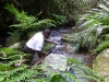 Luc washing his machete