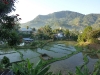 The view from our room at Ranomafana