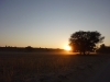 Sunset in the Kalahari