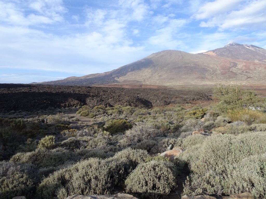 El Teide and lava flows