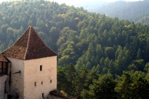 Rasnov castle above the forests
