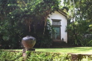 Geoffrey Bawa's garden