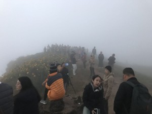 In the cloud on Phu Chi Fa