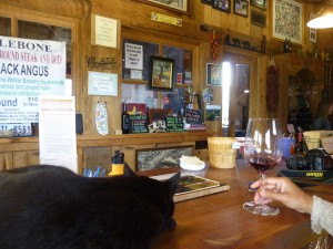 Whalebone winery, with cat