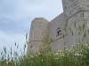 Castel Del Monte with flowers