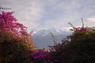 The view from our hotel balcony in Arequipa, a city of white stone surrounded by snowcapped volcanoes