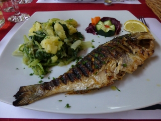 Grilled fish and mangold, aka Swiss Chard. Every single restaurant in Dubrovnik
