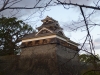 Castles, like Kumamoto, are beautiful as well as strong