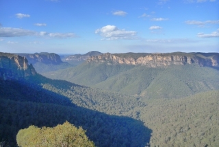 Like looking down into a Lost World, the blue gum canyons of the Blue Mountains