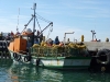 Kalk Bay fishermen