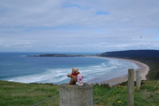 This is a very special photograph from the Catlins Coast. It's not raining