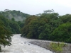 The Costa Rican rainforest, hopefully full of wildlife