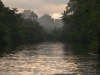 Corcovado NP, the Sirena river, mammal central