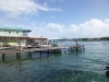 After all the mammal-watching, very laid back Caribbean-style Bocas del Toro