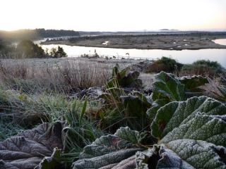It was a bright and frosty morning when we first went searching for otters