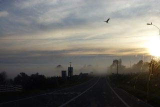 Chiloe, capable of giving you a month's worth of moods in one day