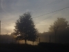 Or mists and fogbanks making mysterious silhouettes out of the everyday