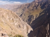 Our final stop in Peru was the Colca Canyon, a kilometer deep in parts, and the place to see condors