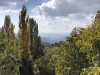 Trees and mountains