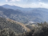 Wine terraces in the mountains