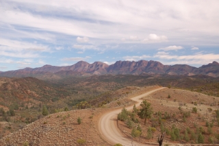 Looking like the painted backdrop for a road movie, the Flinders are a proper Aussie landscape