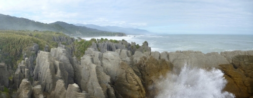 Our one stop today, the thunderous blowholes which roar up among the pancake rocks at Punakaiki. The west coast is rugged
