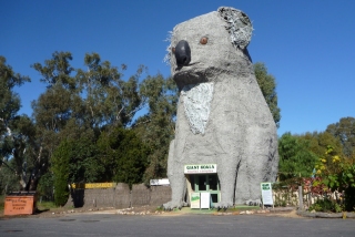 Giant koala! Hahahahaha. But really, if it is neither cute nor fuzzy can it be called a koala?