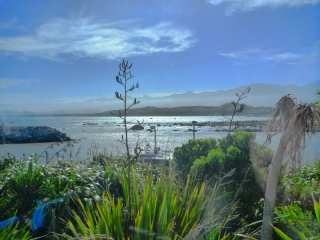 It's a sunny day in Kaikoura and everything looks lovely