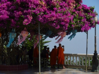 Perhaps the defition of a developed country could be one that has its own local tourists? I like camcorder monks