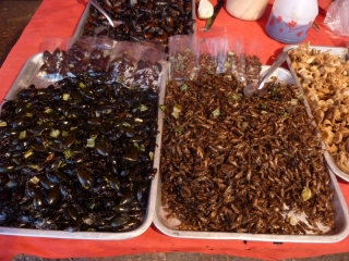 Delicious fried cockroaches and maggots - mmmmm