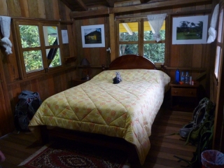 Our cosy room at Yellow House, surrounded by wild gardens, wooden and hand-built but peaceful and relaxing