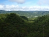 The cloud forest above the distant town of Mindo, a wonderland of wildlife