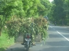 Watching people on motorbikes is a good way to enjoy a long drive. This one has clearly gone too far with the camoflage