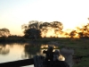 Pantanal dawn