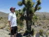 A Joshua Tree, and some desert wildlife