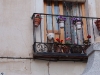 Balcony dog
