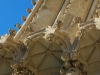 Cathedral details