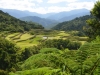 Maligcong rice terraces