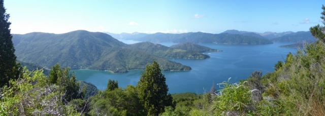 The Queen Charlotte Sound, looking down from the QCT