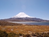 Parque Nacional Lauca, wild altiplano in the far north of Chile, in the shadow of Volcano Parinacota