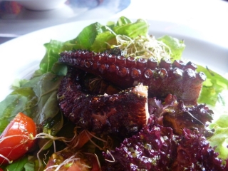 My octopus, which was very yummy