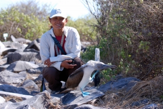 Up close to the wildlife in the Galapagos Islands