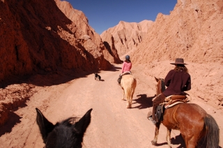 Riding through the bone dry and sharply shadowed hills of the Atacama, with our guide Jessica-from-Paris