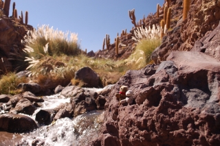 Cactus Valley, a rare smudge of greenery in the Atacama