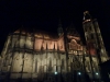 The St Elizabeth cathedral lit up at night