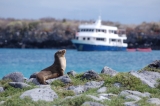 Cruising around the Galapagos Islands was our best time on - and in - the water