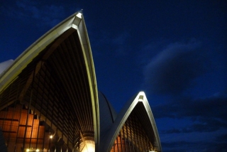 The Sydney Opera House rises above the visitor like a crescendo