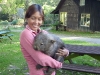 H is for Hugs. Hug a wombat today, watch your cares fly away. It really works