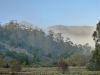M is for Misty Morning in the wilderness of Tasmania, heart-breaking weather